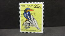 [Birds, tip TW]