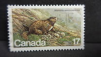 [Endangered Wildlife, type AAD]
