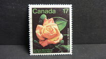 [Montreal Flower Show, Вид AAO]