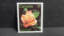 [Montreal Flower Show, Вид AAO]