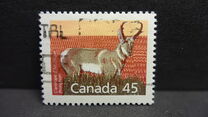 [Canadian Mammals, type AOI]