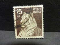 [Local Motifs, type PG]