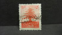 [Cedar of Lebanon,  Baalbek and Beaufort, type XDK3]