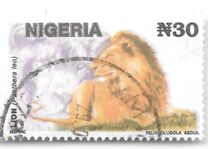 [Wildlife, тип UC]