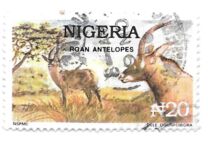 [Wildlife, тип UB]