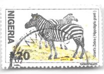 [Wildlife, type YR]