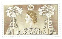 [Local Motives and Queen Elizabeth II, type AX]
