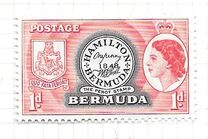 [Local Motives and Queen Elizabeth II, type AY]