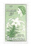 [Local Motives and Queen Elizabeth II, type AZ]