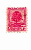 [Cedar of Lebanon, President Edde and Local Motives, Tip CU3]