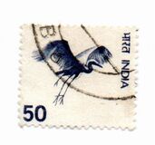 [Local Motifs, type QQ]