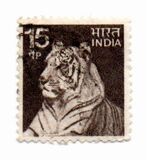 [Local Motifs, type PG]