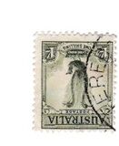 [Superb Lyrebird, Typ N]