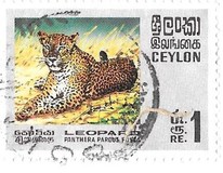 [Wildlife, type GE]