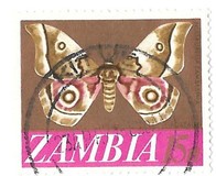 [Local Motifs - Value in (K)wacha and (N)gwee, 类型 AM]