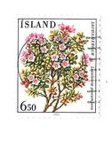 [Plants, Tipe OA]