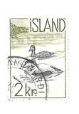 [Atlantic Salmon & Common Eider, տեսակ EU1]