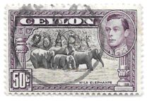 [King George VI - Local Motives, typ BV]