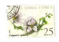 [Therapeutic Plants of Cyprus, type AER]