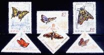 [Butterflies & Moths, type BTG]