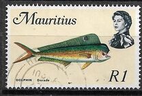 [Marine Life, Вид FL]