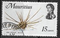 [Marine Life, Вид FC]