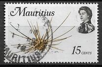 [Marine Life, Вид FC]