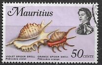 [Marine Life, Вид FI]