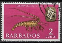 [Marine Life, Вид DQ]