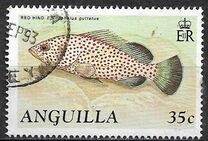 [Fish, type ADX]