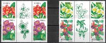 [Ornamental Plants, type HUM]