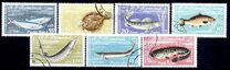 [Fish, տեսակ BTP]