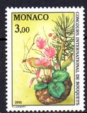 [Monte Carlo Flower Show, סוג BZJ]