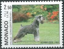 [International Dog show, Monte Carlo, סוג BZK]