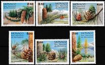[Conifers in Mercantour National Park, סוג CAY]