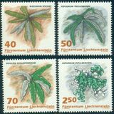 [Ferns, type AKL]