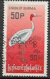 [Burmese Birds, प्रकार ED]