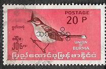 [Burmese Birds, प्रकार EB]