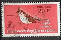 [Burmese Birds, प्रकार EB]