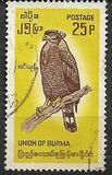 [Burmese Birds, प्रकार EC]