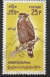 [Burmese Birds, प्रकार EC]