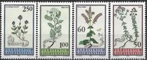 [Flora, type ALI]