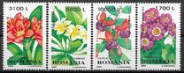 [Ornamental Plants, type HUM]