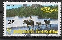 [Tourist Activities, タイプ VI]