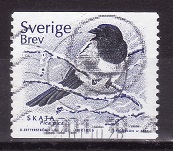 [Birds, type BMC]
