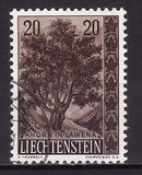 [Trees and Bushes, type KP]