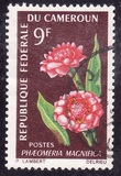[Flowers, type FJ]