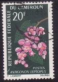 [Flowers, type FL]