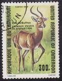 [Endangered Animals, type WK]