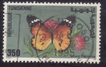 [Butterflies, type AGB]